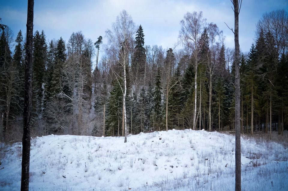 Juris Zalāns. Lazdonas pilskalns