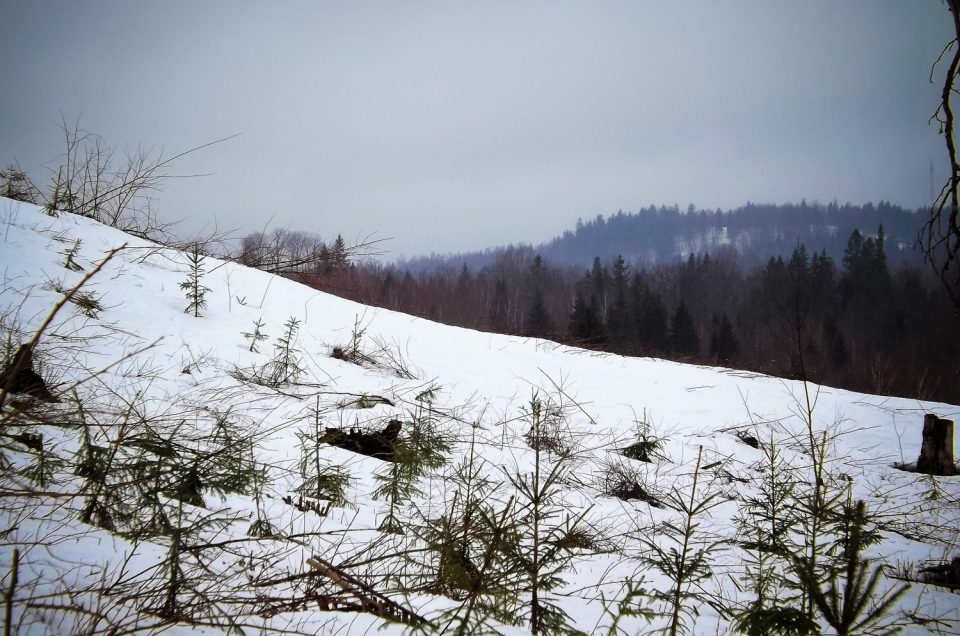 Aigars Krigerts. Bērzkalna pilsvietas meklējumos