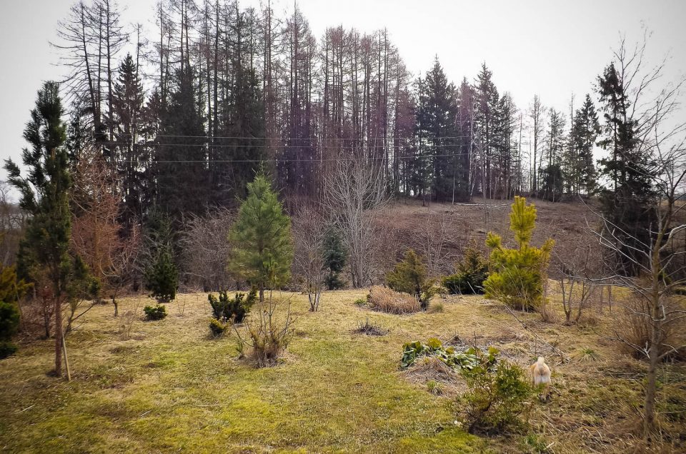 Aigars Krigerts. Lielais un Mazais Kromnīks Gailumos