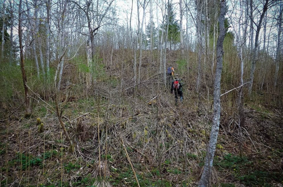 Aigars Krigerts, Laila Lūse. Arnicēnu pilskalns