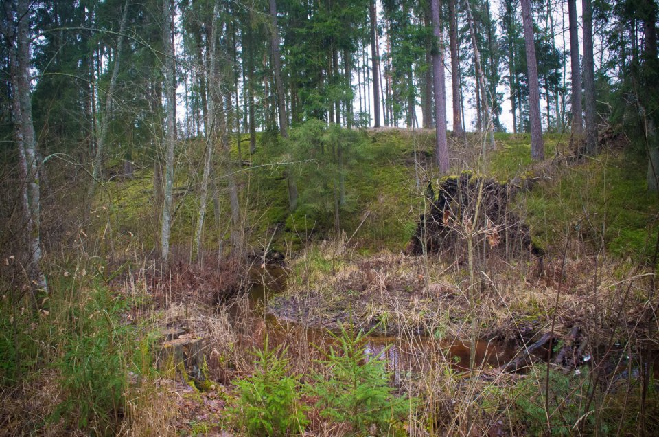 Gatis Kalniņš. Cimpēnu pilskalns un apkārtne