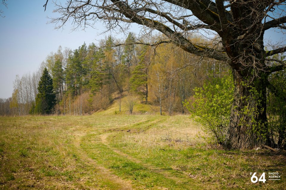 Photo Agency F64: Stupeļu pilskalns ar akmeni