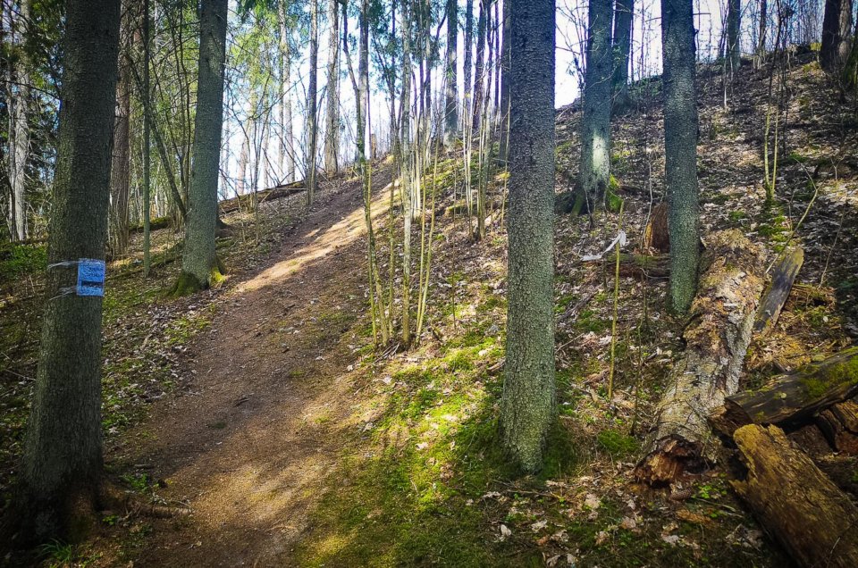 Vigo Leitholds. Aderkašu pilskalns