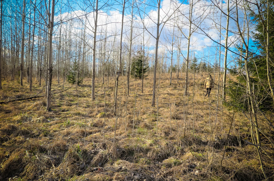 Aigars Krigerts. Lejasburkānu pilskalns