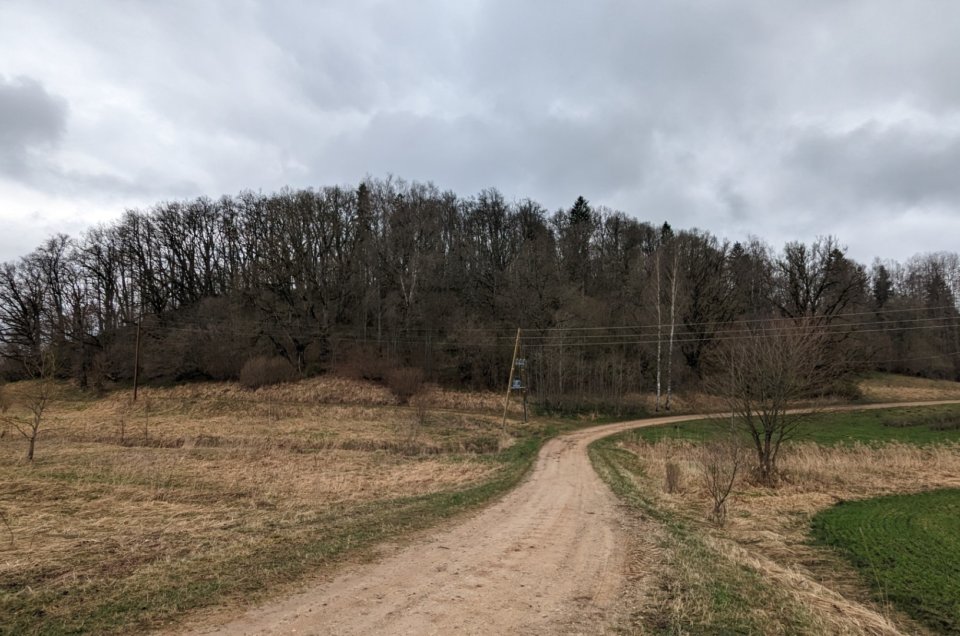 Gatis Kalniņš. Mežkalna pilskalns