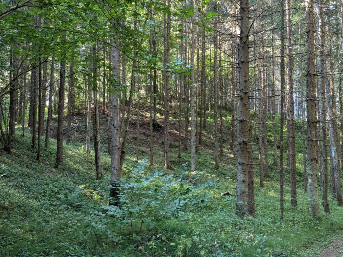 Gatis Kalniņš. Dzirkaļu pilskalns