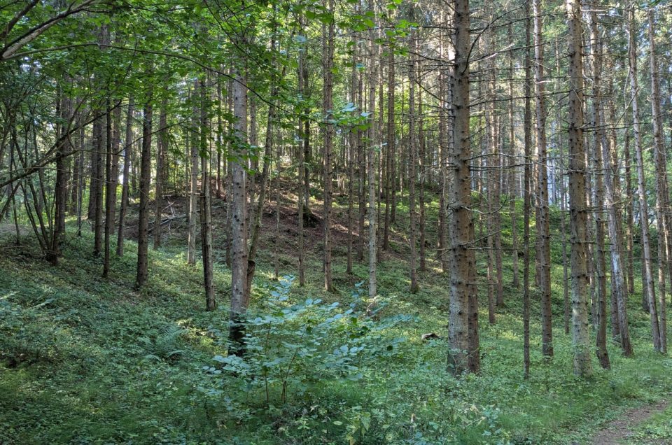 Gatis Kalniņš. Dzirkaļu pilskalns